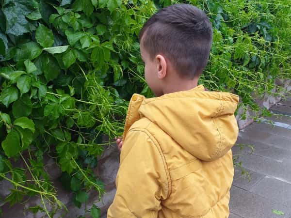 Hasan is orphan and needs your support