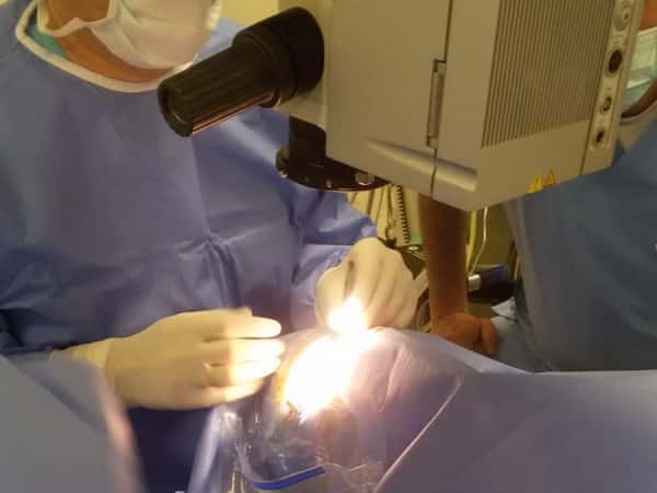 Young man at risk of losing sight