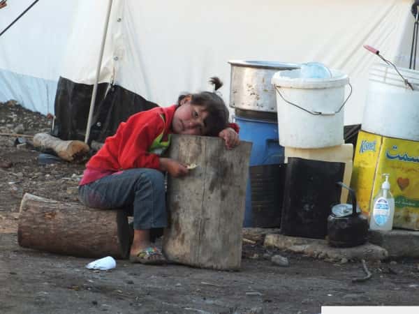 زكاة الفطرة