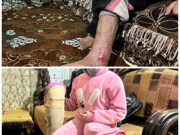 Haifa… a sheltering embrace for the orphans.